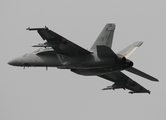 United States Navy Boeing F/A-18F Super Hornet (166790) at  RAF Fairford, United Kingdom