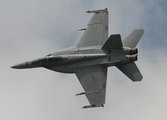 United States Navy Boeing F/A-18F Super Hornet (166790) at  RAF Fairford, United Kingdom