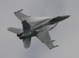 United States Navy Boeing F/A-18F Super Hornet (166790) at  RAF Fairford, United Kingdom