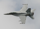 United States Navy Boeing F/A-18F Super Hornet (166790) at  RAF Fairford, United Kingdom