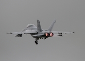 United States Navy Boeing F/A-18F Super Hornet (166790) at  RAF Fairford, United Kingdom