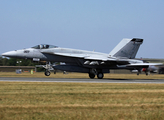 United States Navy Boeing F/A-18E Super Hornet (166840) at  Hohn - NATO Flugplatz, Germany