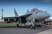 United States Navy Boeing F/A-18E Super Hornet (166863) at  Berlin Brandenburg, Germany
