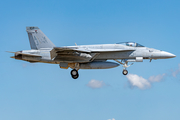 United States Navy Boeing F/A-18E Super Hornet (166867) at  Hohn - NATO Flugplatz, Germany