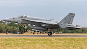 United States Navy Boeing F/A-18E Super Hornet (166867) at  Hohn - NATO Flugplatz, Germany