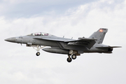 United States Navy Boeing EA-18G Growler (166931) at  Coupeville - Naval Outlying Field, United States