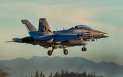 United States Navy Boeing EA-18G Growler (166935) at  Whidbey Island - Naval Air Station, United States