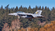 United States Navy Boeing EA-18G Growler (166935) at  Whidbey Island - Naval Air Station, United States