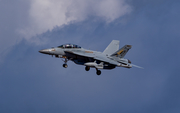 United States Navy Boeing EA-18G Growler (166935) at  Whidbey Island - Naval Air Station, United States