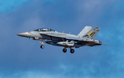 United States Navy Boeing EA-18G Growler (166935) at  Whidbey Island - Naval Air Station, United States
