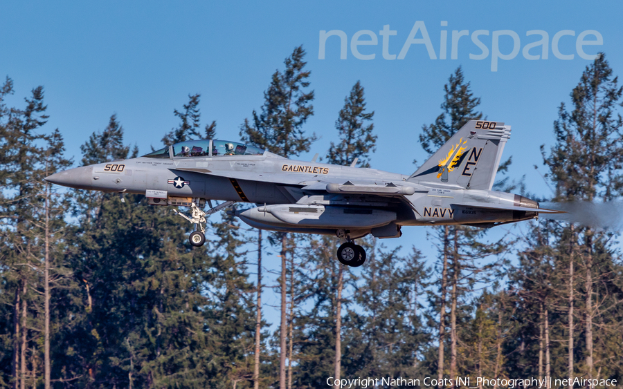 United States Navy Boeing EA-18G Growler (166935) | Photo 438394