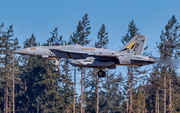 United States Navy Boeing EA-18G Growler (166935) at  Whidbey Island - Naval Air Station, United States