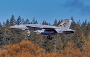 United States Navy Boeing EA-18G Growler (166935) at  Whidbey Island - Naval Air Station, United States