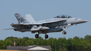 United States Navy Boeing EA-18G Growler (166943) at  Hohn - NATO Flugplatz, Germany