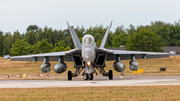 United States Navy Boeing EA-18G Growler (166943) at  Hohn - NATO Flugplatz, Germany