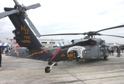 United States Navy Sikorsky MH-60S Knighthawk (167844) at  Jacksonville - NAS, United States