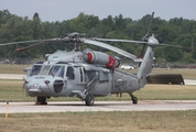 United States Navy Sikorsky MH-60S Knighthawk (167847) at  Detroit - Willow Run, United States