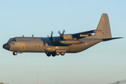 Portuguese Air Force (Força Aérea Portuguesa) Lockheed C-130H-30 Hercules (16801) at  Lisbon - Portela, Portugal