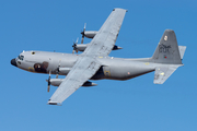 Portuguese Air Force (Força Aérea Portuguesa) Lockheed C-130H-30 Hercules (16801) at  Zaragoza, Spain