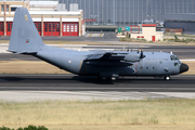 Portuguese Air Force (Força Aérea Portuguesa) Lockheed C-130H Hercules (16803) at  Lisbon - Portela, Portugal