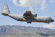 Portuguese Air Force (Força Aérea Portuguesa) Lockheed C-130H-30 Hercules (16806) at  Gran Canaria, Spain