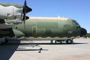 Portuguese Air Force (Força Aérea Portuguesa) Lockheed C-130H-30 Hercules (16806) at  Beja, Portugal