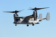 United States Marine Corps Boeing MV-22B Osprey (168236) at  Ellington Field - JRB, United States