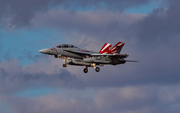 United States Navy Boeing EA-18G Growler (168251) at  Whidbey Island - Naval Air Station, United States
