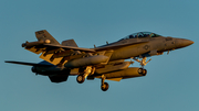 United States Navy Boeing EA-18G Growler (168381) at  Whidbey Island - Naval Air Station, United States