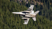 United States Navy Boeing EA-18G Growler (168385) at  Off-Airport, United States