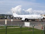 United States Navy Boeing P-8A Poseidon (168437) at  Cartagena - Rafael Nunez International, Colombia