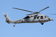 United States Navy Sikorsky MH-60S Knighthawk (168575) at  San Juan - Fernando Luis Ribas Dominicci (Isla Grande), Puerto Rico
