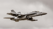 United States Navy Boeing EA-18G Growler (168773) at  Portland - Hillsboro, United States