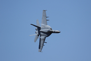 United States Navy Boeing F/A-18E Super Hornet (168884) at  Jedi Transition - Rainbow Canyon, United States