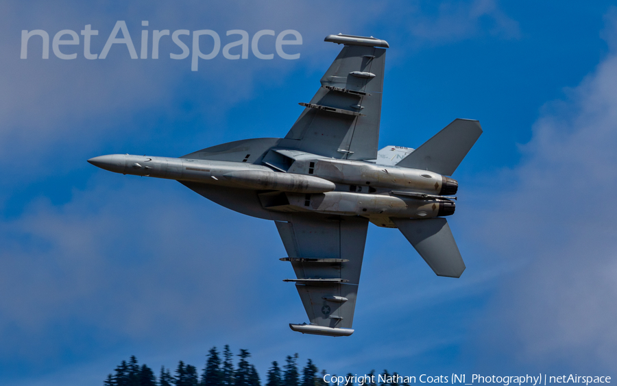 United States Navy Boeing EA-18G Growler (168895) | Photo 401626
