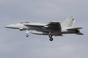 United States Navy Boeing EA-18G Growler (168903) at  Coupeville - Naval Outlying Field, United States