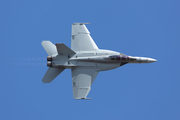 United States Navy Boeing F/A-18F Super Hornet (168929) at  Ellington Field - JRB, United States