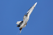 United States Navy Boeing F/A-18F Super Hornet (168929) at  Ellington Field - JRB, United States