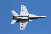 United States Navy Boeing F/A-18F Super Hornet (168929) at  Ellington Field - JRB, United States