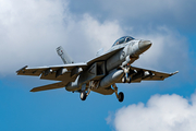 United States Navy Boeing F/A-18F Super Hornet (168930) at  Hohn - NATO Flugplatz, Germany