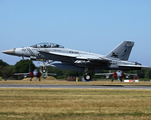 United States Navy Boeing F/A-18F Super Hornet (168930) at  Hohn - NATO Flugplatz, Germany