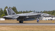 United States Navy Boeing F/A-18F Super Hornet (168930) at  Hohn - NATO Flugplatz, Germany