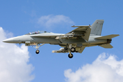 United States Navy Boeing F/A-18F Super Hornet (168930) at  Farnborough, United Kingdom