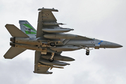 United States Navy Boeing EA-18G Growler (168937) at  Las Vegas - Nellis AFB, United States