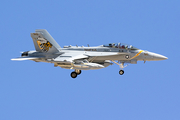 United States Navy Boeing EA-18G Growler (169124) at  Las Vegas - Nellis AFB, United States