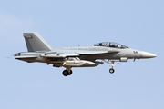 United States Navy Boeing EA-18G Growler (169139) at  Las Vegas - Nellis AFB, United States