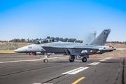United States Navy Boeing EA-18G Growler (169145) at  Moses Lake - Grant County, United States