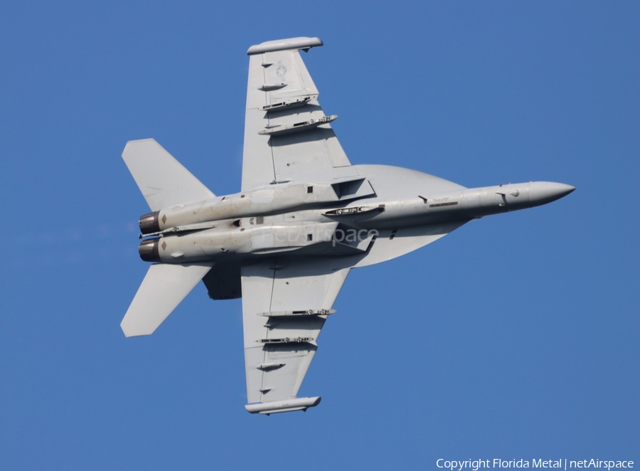 United States Navy Boeing EA-18G Growler (169206) | Photo 550988