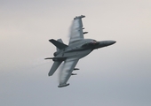 United States Navy Boeing EA-18G Growler (169208) at  Oshkosh - Wittman Regional, United States