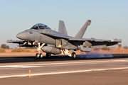 United States Navy Boeing EA-18G Growler (169210) at  El Centro - NAF, United States